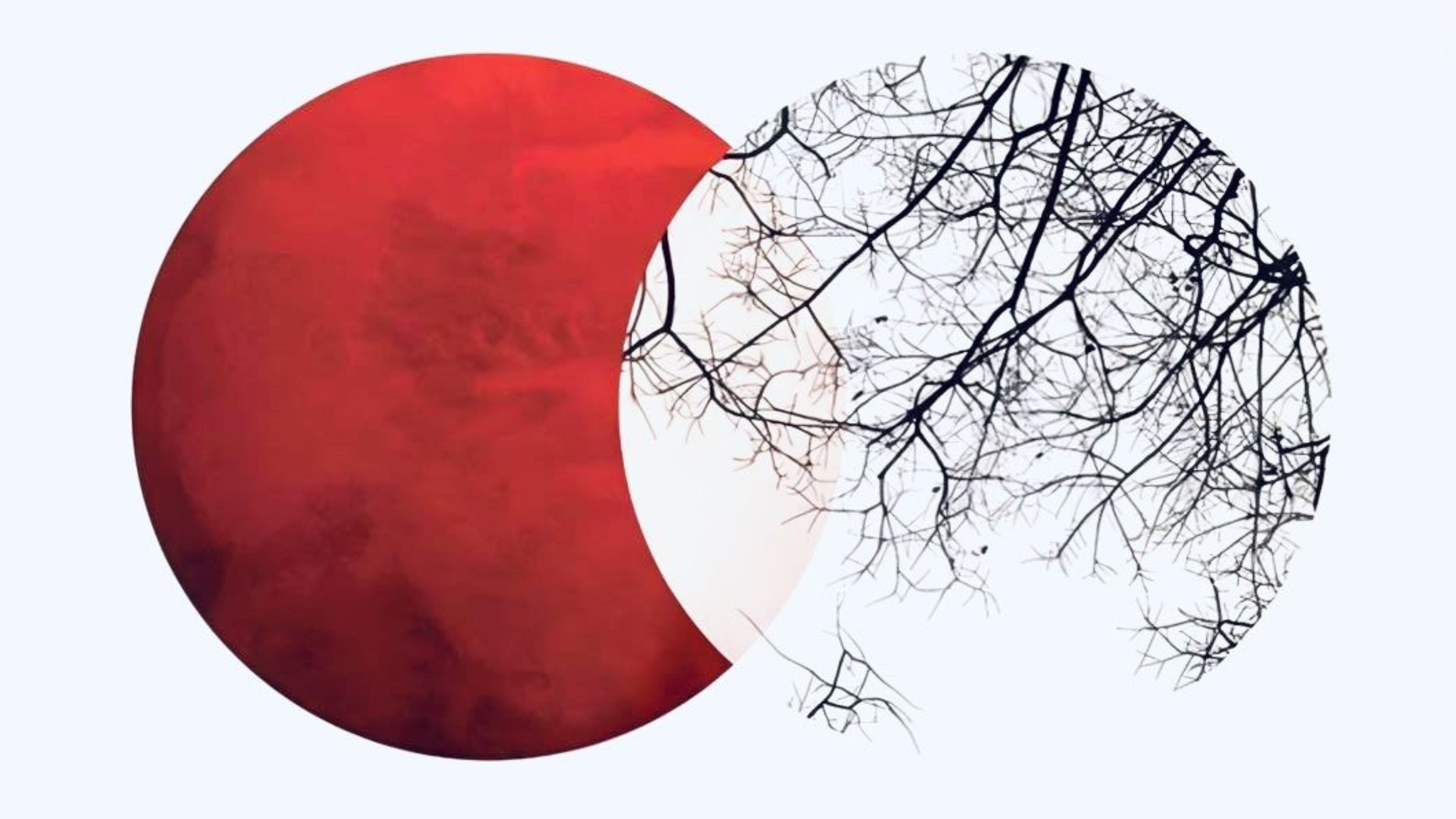 Kitô Giáo là Đạo của tâm hay Đạo của trí?